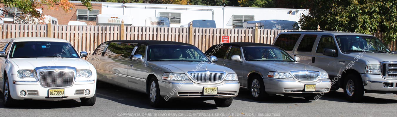 Vehicles at Blue Limo Service